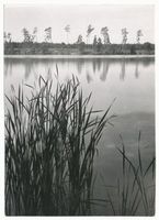  Niedersee, Am Niedersee bei Rudczanny VI Masuren, Niedersee