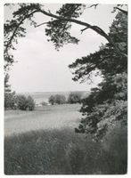  Löwentinsee. Landschaft am See озеро Лёвинтин. Пейзаж у озера