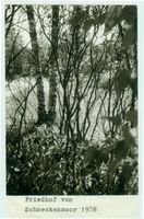 Schneckenmoor, Ort, Kreis Elchniederung 