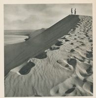  Kurische Nehrung ,  Hohe Düne  bei Nidden Куршская коса, «Высокая дюна» у Нида