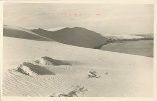  Kurische Nehrung, Wanderdüne - Haffseite III Kurisches Haff