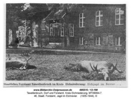 Tawellenbruch, Ort und Forstamt, Kreis Elchniederung 