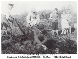 Freudenberg Kr. Rastenburg, Kreis Rastenburg 