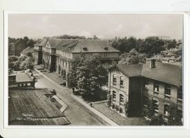 Tapiau, Kreis Wehlau 