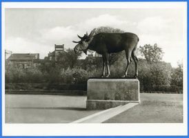 Tilsit, Stadt, Stadtkreis Tilsit Anger Tilsit, Das Elchdenkmal auf dem Anger XIV Tilsit, Elch-Standbild