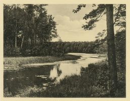  Masuren, Kaikobucht am Gr. Gusziensee bei Rudczanny Masurische Seen