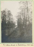 Rautenburg, Kreis Elchniederung Rautenburg, Im Rautenburger Wald 