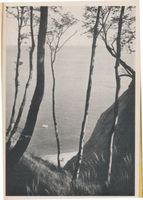 Warnicken, Kreis Samland Warnicken, Fuchsschlucht III Варникен, Лисье ущелье, III