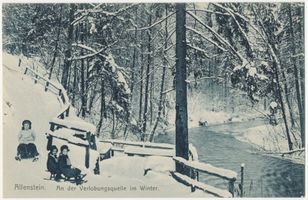 Allenstein, Stadtkreis Allenstein Allenstein, Stadtwald, Velobungsquelle im Winter Allenstein, Stadtwald
