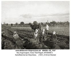 Argenbrück, Kreis Tilsit-Ragnit 