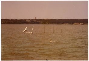 Kahlberg-Liep, Ort, Kreis Elbing Kahlberg-Liep, Ostsee und Leuchtturm 