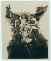 Schönlinde Kr. Gerdauen, Kreis Gerdauen 