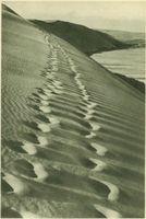  Kurisches Haff, Sinkender Tag auf den Dünen am Haff Kurische Nehrung, Dünen