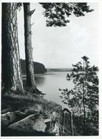  Rominter Heide, Goldaper See, Steilufer 