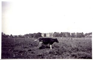 Waldau Kr. Samland, Ort, Kreis Samland 