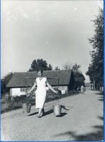 Elchwerder Kr. Labiau, Ort, Kreis Labiau Elchwerder Kr. Labiau, Dorfstraße Labiau, Orte im Kreis