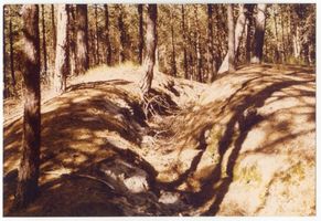  Frische Nehrung, Schützengräben von 1945 