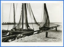 Fischhausen, Stadt, Kreis Samland Fischhausen, Hafen mit Mole 