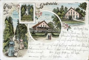 Braunsberg Kr. Braunsberg, Kreis Braunsberg Braunsberg, Ostpr., Stadtwald 
