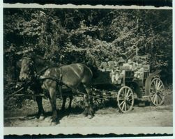 Gomingen, Kreis Gerdauen 