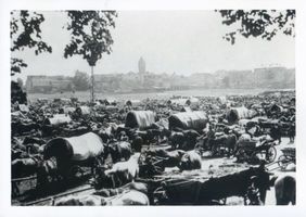 Wehlau, Kreis Wehlau Wehlau, Pferdemarkt XI Велау, конный рынок, XI