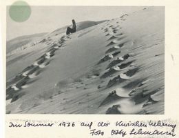  Kurische Nehrung, Spuren im Dünensand V Куршская коса, следы на дюнном песке, V