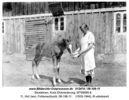 Skuldeinen, Kreis Elchniederung 