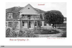 Königsberg (Pr.), Stadtkreis Königsberg 