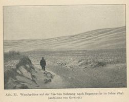  Frische Nehrung, Wanderdüne nach Regenwetter Фришская коса, бродячая дюна после дождя