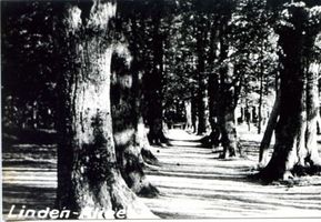 Arnau Kr. Samland, Kreis Samland 