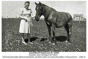 Gindwillen, Kreis Tilsit-Ragnit 