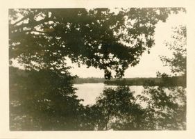 Niedersee (See), Im Reich der Sumpfschildkröte Нидерзее (озеро), в царстве болотной черепахи