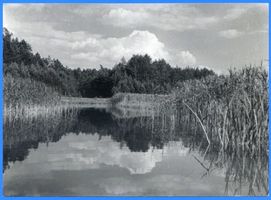  Masuren, Masurischer See, Babiente V Masurische Seen