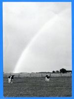 Schwarzort, Kreis Memel Schwarzort, Regenbogen 