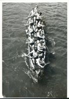 Memel, Stadt, Stadtkreis Memel Memel, Wassersportler, Paddler Мемель, водные спортсмены, байдарочники