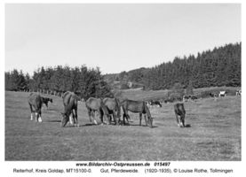 Reiterhof, Kreis Goldap 
