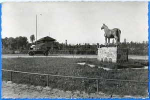 Insterburg, Stadt, Stadtkreis Insterburg Turnierplatz (fr. Poloplatz) Insterburg, Pferdestandbild und Turnierplatzhalle II Insterburg, Turnierplatz