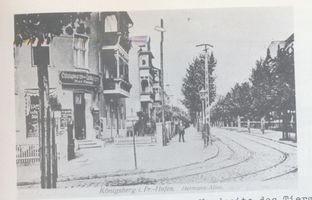 Königsberg (Pr.), Stadtkreis Königsberg Hermannallee Königsberg, Hermannallee, von der Hagenstraße bis zur Nordseite des Tiergartens Königsberg, Stadtteil Hufen