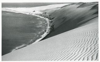  Kurische Nehrung, Wanderdünen V Kurische Nehrung, Dünen