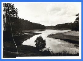  Osterode (Kreis), Pillauker See mit Blick auf Faltianken III Остроде (район), озеро Пиллаукер с видом на Фальтианкен, III