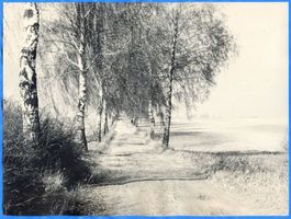 Pathaunen, Kreis Allenstein Pathaunen, Birkenweg 