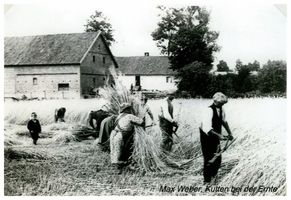 Kutten, Kreis Angerburg Kutten, Max Weber bei der Ernte Куттен, Макс Вебер на жатве