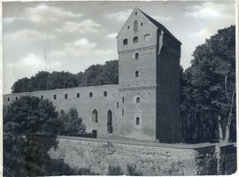 Balga, Kreis Heiligenbeil Balga, Burgruine XV 