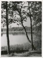  Kruttinner See, Kr. Sensburg, In der Nähe Alt Ukta - Kruttinnen Masurische Seen