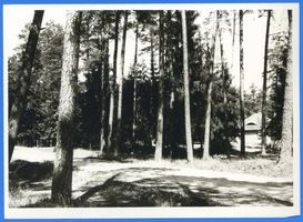 Walden, Ort mit Försterei und Bahnstation, Kreis Lyck Sybba, An der Waldschenke 