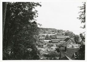 Schwarzort, Kreis Memel Schwarzort, Blick vom Evaberg auf das Dorf VII 