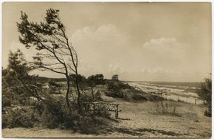 Kahlberg-Liep, Ort, Kreis Elbing Kahlberg-Liep, In den Dünen Кальберг-Лип, в дюнах