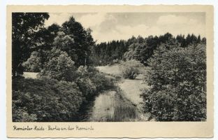  Rominter Heide, Partie an der Rominte IV 