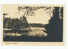 Lyck, Forstamt und Oberförsterei, Kreis Lyck 