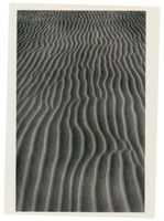 Kurische Nehrung, Dünen, Sandstrukturen, Windriffeln aus sonnengelblichem Nehrungssand Kurische Nehrung, Dünen, Sandstrukturen